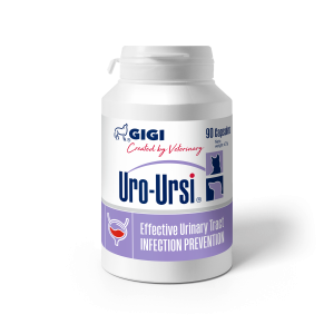 URO-URSI - EFFECTIVE URINARY TRACT INFECTION PREVENTION