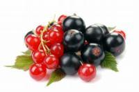 IQF Black and Red Currant