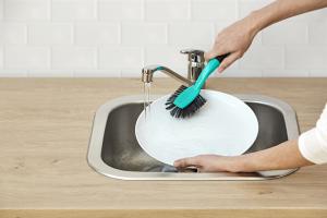 Diswashing brush EVERSEA®