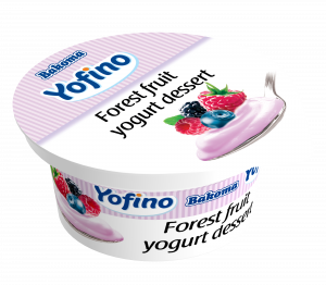 Yogurt dessert 100g