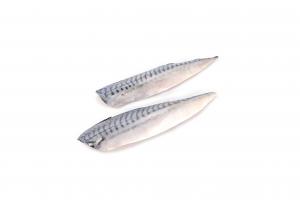 Mackerel fillets