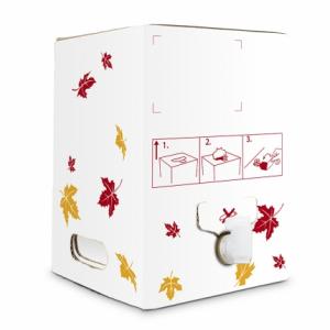 Citadelle's Pure Maple Concentrate 