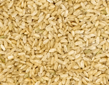 Sun Valley Rice Sprouted Rice  capabilities