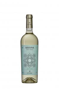 Codice Citra Winery - Pinot Grigio Terre di Chieti IGT 2020