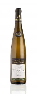 Sylvaner Collection 2018