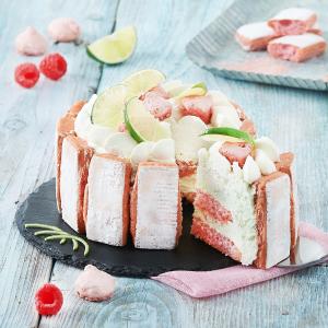 Fossier French Pink Biscuits