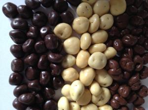 Chocolate Coated Dried Fruits, Cranberries, Cherries, Mulberries, Physalis and more