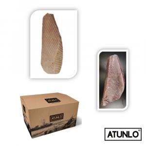 WHOLE TUNA BELLY FOR HORECA