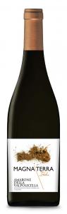 Magna Terra Italica Amarone della Valpolicella  DOCG
