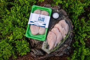 Chicken Fillet (Antibiotic-free grown)