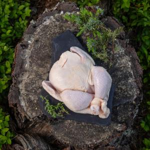 Whole Chicken (Antibiotic-free grown)