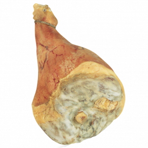 Prosciutto crudo - Dry cured ham bone in