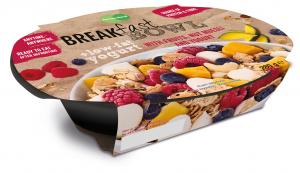 Breakfast Bowl - Natural (low-fat yogurt)