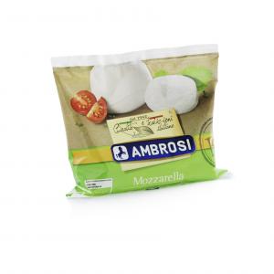 Organic Mozzarella 100g