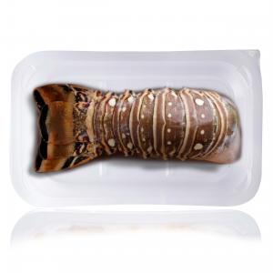 Raw caribbean spiny lobster tail - skinpack