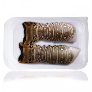 Raw caribbean spiny lobster tail - skinpack