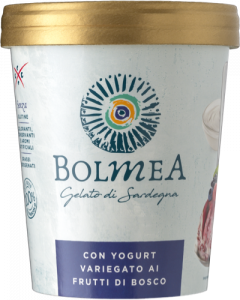 Paper cup Yogurt and Berries