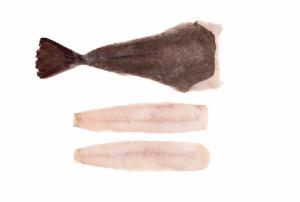 Wild Irish Monk Tails