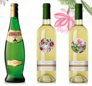 BOTTIGLIE BORDOLESE E ANFORA 0,750 LT