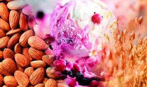 Clean label Plant-Based Ice Cream Taste Modulation