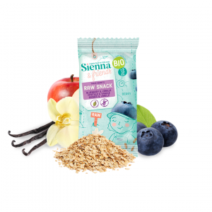Blueberry & Vanilla Raw Snack 20g