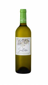 Sauv'Terre Bordeaux Blanc ORGANIC