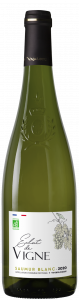 Saumur white - Eclat de vigne