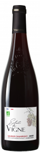 Saumur Champigny - Eclat de vigne