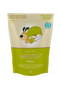 Multiva Motion