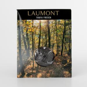 Fresh Winter Truffle ( Tuber Melanosporum Perigord)