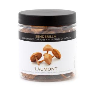 Marasmius Oreades Dried Mushroom