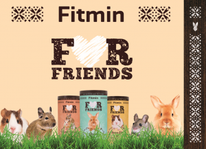 Small Rodents - Gerbil