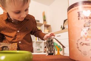 Small Rodents - Chinchilla