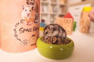 Small Rodents - Degu Food