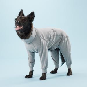 PAIKKA Recovery Overall