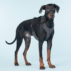 PAIKKA Visibility Harness Dark, Pink and Orange