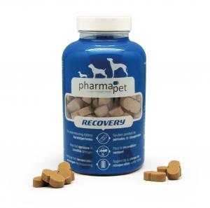 Pharma Pet - Recovery