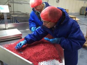 ORGANIC FRUIT PUREE - raspberries, strawberries, blueberries, blackcurrants and blackberries