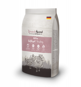 Venandi Animal - Kitten