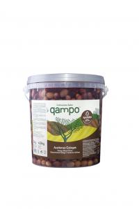 QAMPO OLIVES GALEGA 3KG