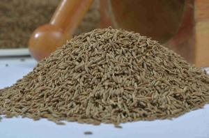 CUMIN WHOLE