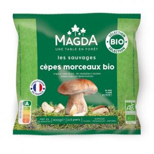 Organic cep mushroom