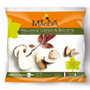 Ceps and boletus mushrooms