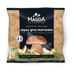 cep mushroom - large pieces