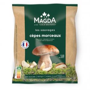 Ceps mushroom -large piece
