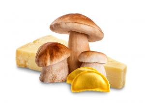 Panzerotti with ceps