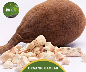 ORGANIC BAOBAB
