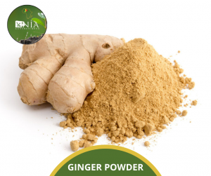 GINGER POWDER