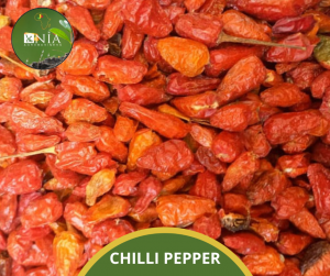 CHILLI PEPPER