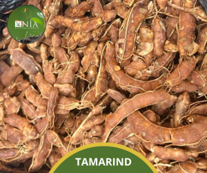 TAMARIND